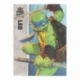 Teenage Mutant Ninja Turtles BST AXN Action Figure Leonardo (IDW Comics) 13 cm