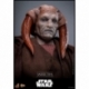 Star Wars: Episode III - Revenge of the Sith Movie Masterpiece Action Figure 1/6 Saesee Tiin 31 cm