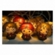 Harry Potter Luces de hadas 2D Letter of Acceptance & Hedwig