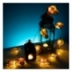 Harry Potter Luces de hadas 2D Letter of Acceptance & Hedwig