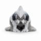 Monster Hunter Wilds Peluche Arkveld 22 cm