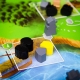 Raiders of the North Sea (English) table game from Renegade Game Studios