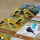 WINGSPAN - Wooden Bird-shaped Player Tokens and Set de pegatinas