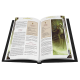Cursed Ink Lex Arcana Supplement (Spanish)