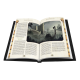 Suplemento Lex Arcana: Aegyptus de Cursed Ink