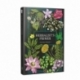 Herbalist’s Primer (English)