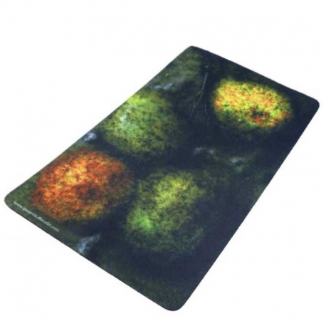Neoprene Scenery - Forest with 4 trees