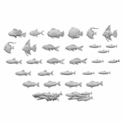 Fish 1:48