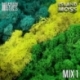Moss - Mixed Greens