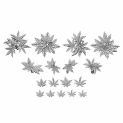 Cannabis 1:48