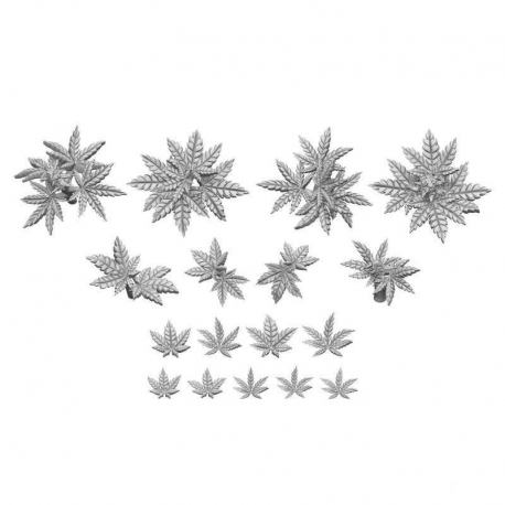 Cannabis 1:48