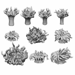 Sea anemones 1:48