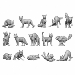 Cats 1:48
