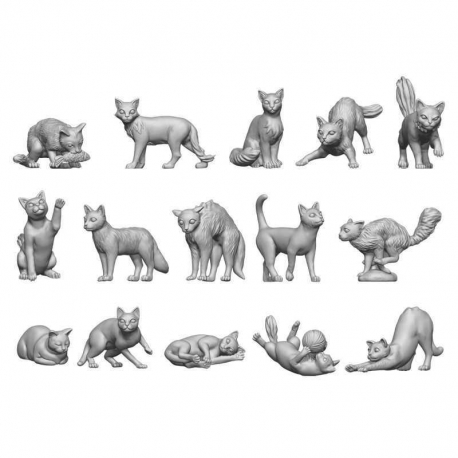 Cats 1:48