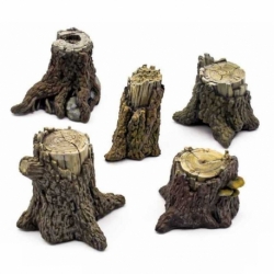 Large Tree Stumps