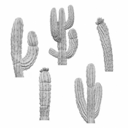 Saguaro Cactus XL 1:48