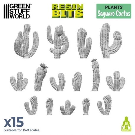 Saguaro Cactus 1:48-1:35