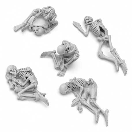 Human skeletons 1:35