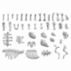 Animal bones 1:48