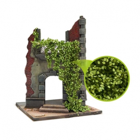 Ivy Modeling - Light Green Birch - Large