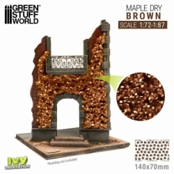 Ivy Modeling - Brown Maple - Small