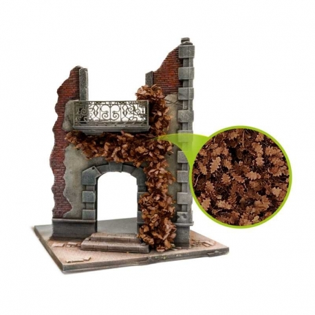 Ivy Modeling - Brown Oak - Large