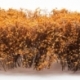 Tall shrubs - Naturally dried
