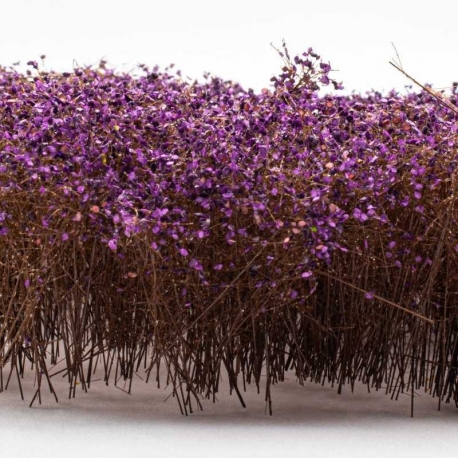 Tall shrubs - Autumn lilac