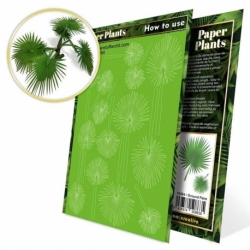 Plantas de Papel - Palmera Suelo