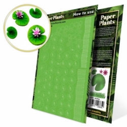 Plantas de Papel - Nenufares