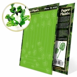 Plantas de Papel - Monstera