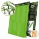 Paper Plants - Palm Trees