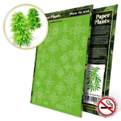 Plantas de Papel - Cannabis