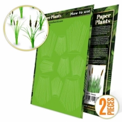 Plantas de Papel - Juncos