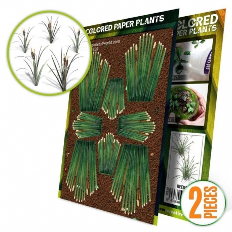 Colored Paper Plants - Rushes