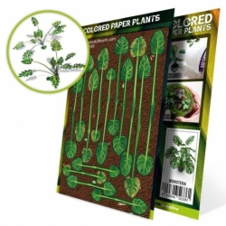 Plantas de Papel Coloreadas - Monstera