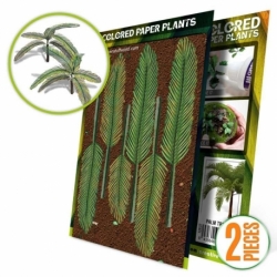 Plantas de Papel Coloreadas - Palmera