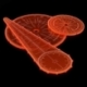 Plantillas de explosión wargames - Naranja Fluor