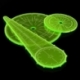Plantillas de explosión wargames - Verde Fluor