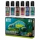 Chameleon Paint Set - Set 3