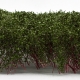 Tall Bushes - Dark Green