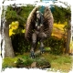 The Pack. Creature (claws) Warmonger from Bad Roll Games