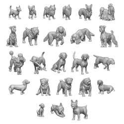 Small Dogs 1:48