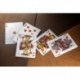 Theory 11 Baraja de cartas Animal Kingdom