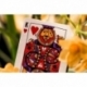 Theory 11 Baraja de cartas Animal Kingdom