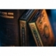 Theory 11 Baraja de cartas High Victorian