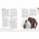 Werewolf: The Apocalypse 5th Edition RPG book Scent of Decay Chronicle (English)