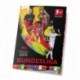 Bundesliga 2025/26 Sticker Collection Album (German)