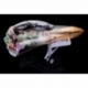 Macross Frontier Plastic Model Kit PLAMAX MF-98: minimum factory Fighter Nose Collection YF-29 GALAXY SET 34 cm