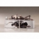 Senkan Shoujo R Estatua PVC 1/7 1913 Battlecruiser Zhen Xiu Bai Bao Ver. 29 cm